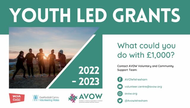 A poster for youth led grants.