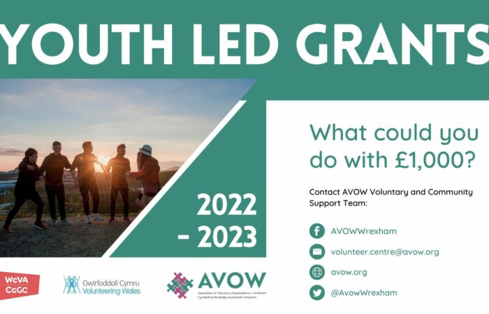 A poster for youth led grants.