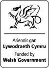 WG funded portrait Welsh Government - Fundedy By (Portrait)