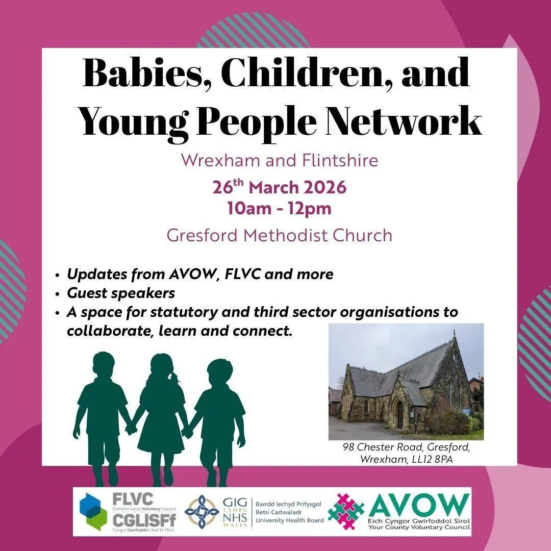 Babies, Children & Young People Network, Wrexham & Flintshire